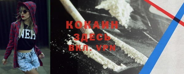 шишки Дмитриев