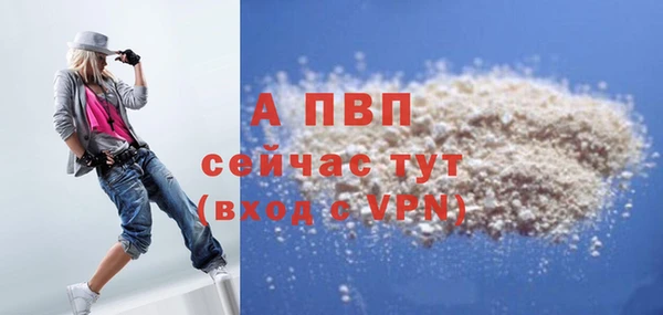 шишки Дмитриев
