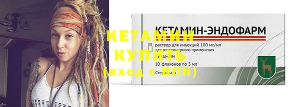 шишки Дмитриев