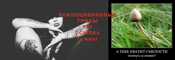 кокс Дмитровск