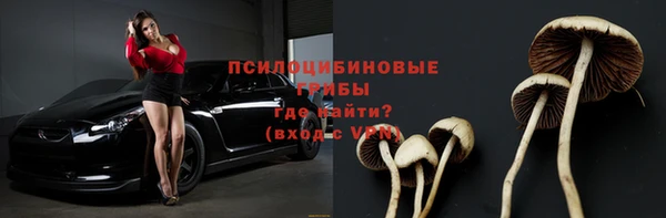 гашиш Дмитров