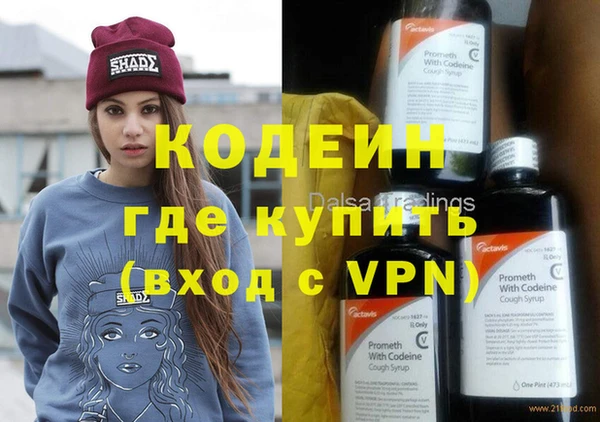 шишки Дмитриев