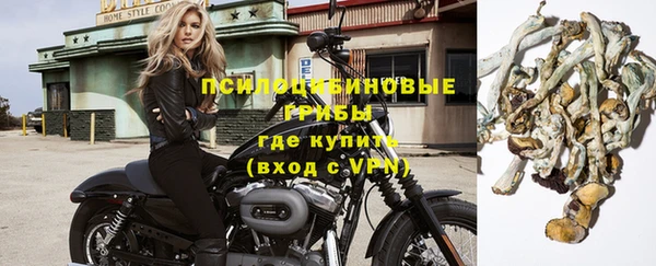 кокс Дмитровск