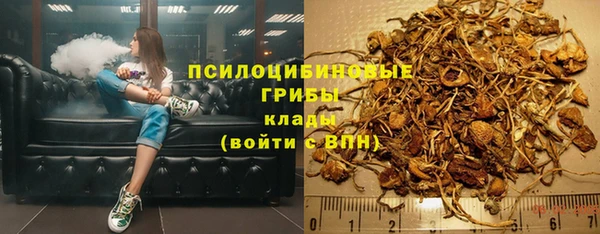 шишки Дмитриев