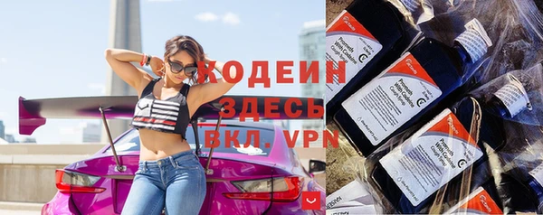 шишки Дмитриев