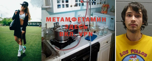 шишки Дмитриев