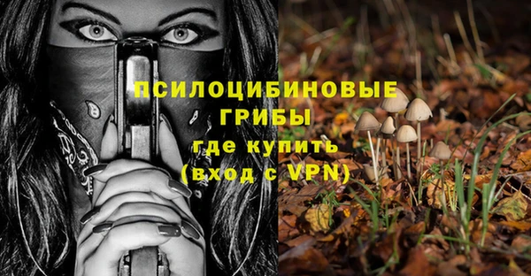гашиш Дмитров