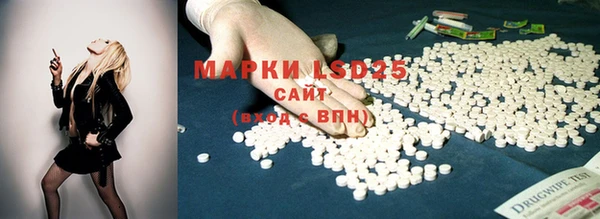 шишки Дмитриев
