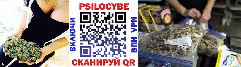 Псилоцибиновые грибы прущие грибы  Купить  Фатеж 
